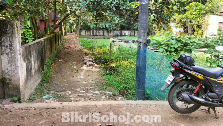 নির্ভেজাল জায়গা ক্রয় করুণ